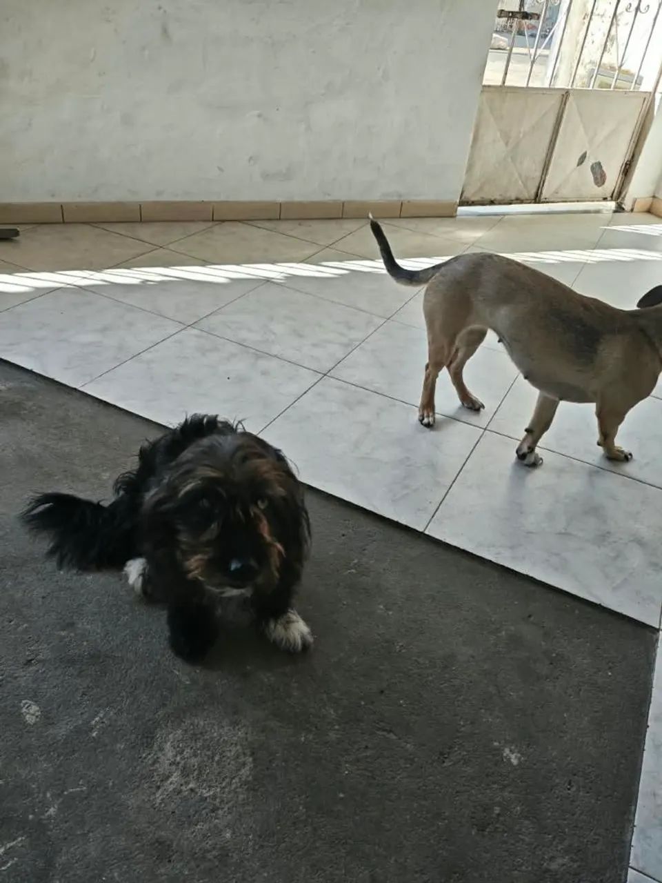 Doação  - Foto 4