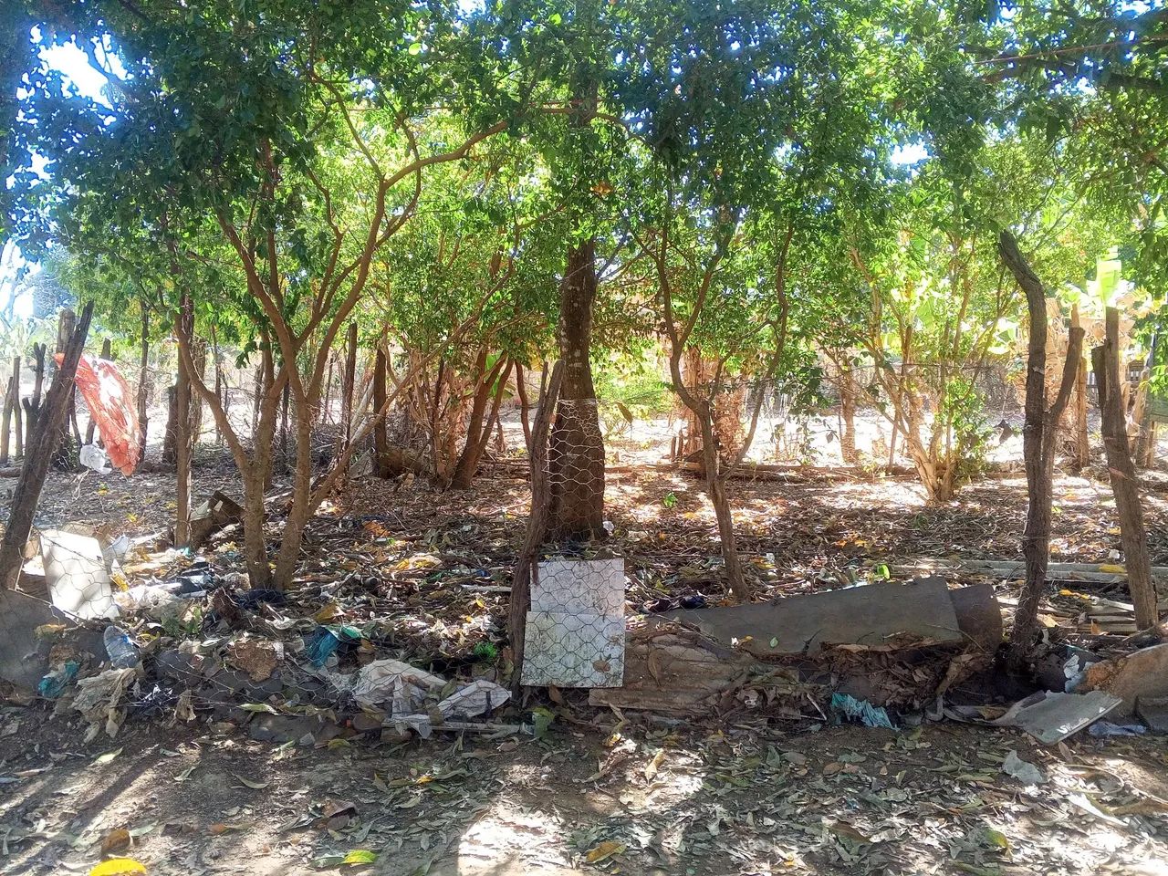 LOTE. - Foto 4