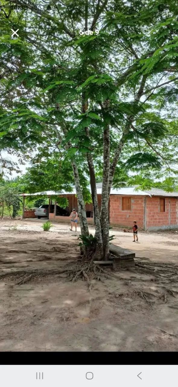 Vende este sítio ou troca casa em mana mesmo valor - Foto 2