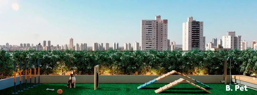 B GREAT NOVA SUICA - Foto 11