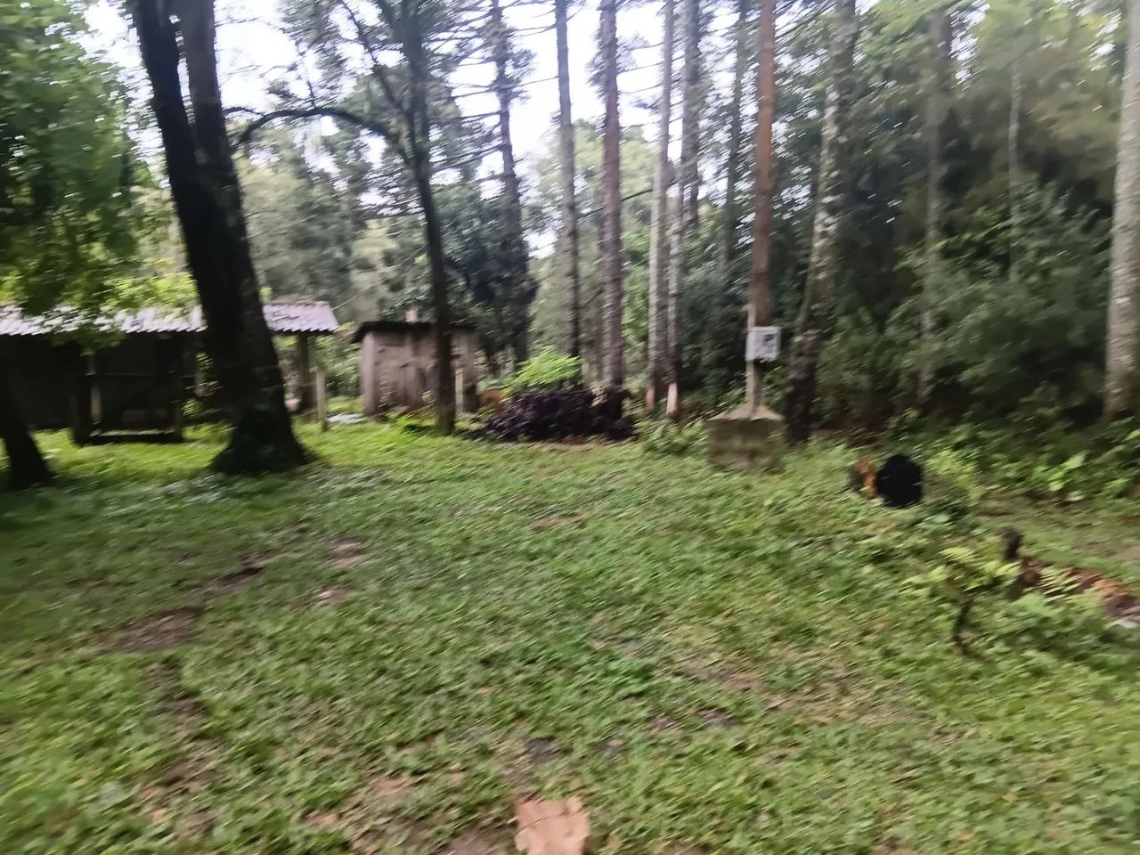 Venda terreno 30.000 - Foto 2