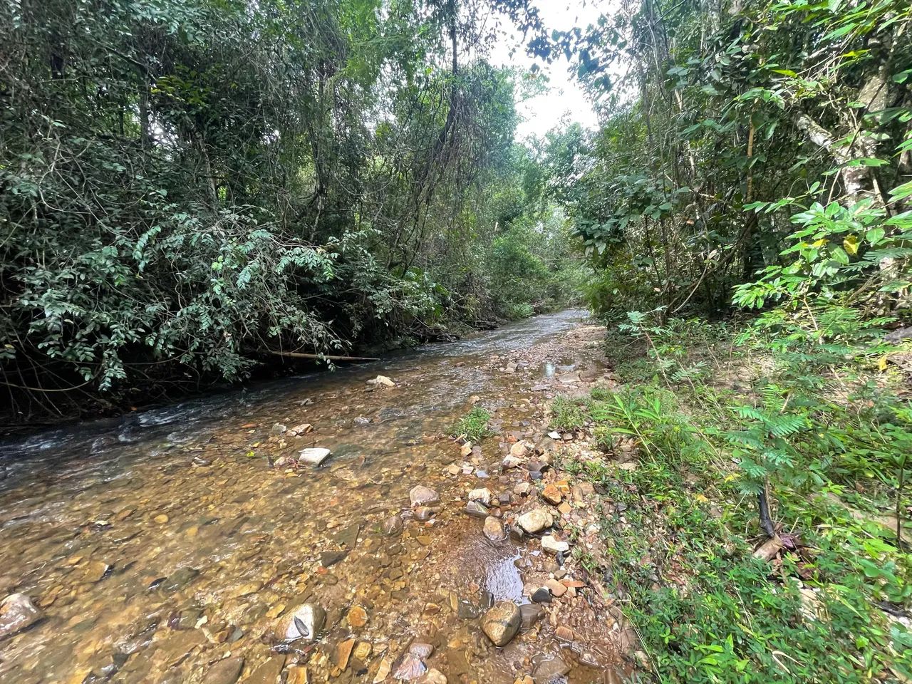 Chácara - Sitio Tropical - Foto 5