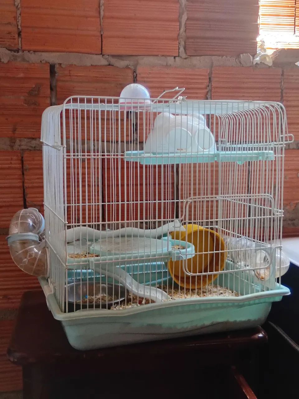 Gaiola de  hamster ? 