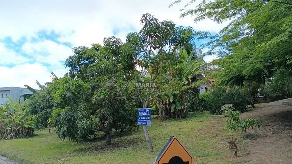 Imóvel para venda tem 1000 metros quadrados em Saire - Sairé - PE - Foto 6