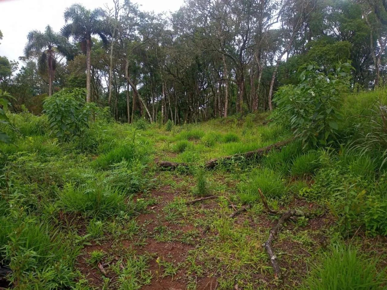 Terreno para Venda em Ibiúna, Sorocamirim - Foto 4