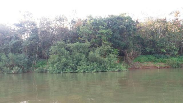 Vendo uma chácara de 2 hectares em barão, nas margem do pantanal! - Foto 3