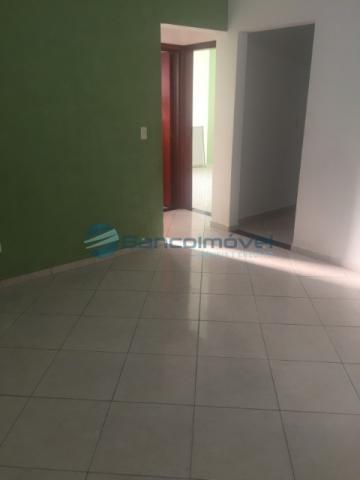 Apartamento para alugar com 2 dormitórios em Jardim ypê, Paulínia cod:AP01908 - Foto 3