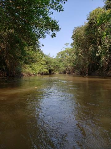 Fazenda pecuária R$ 12.000,00 por HA - Foto 6