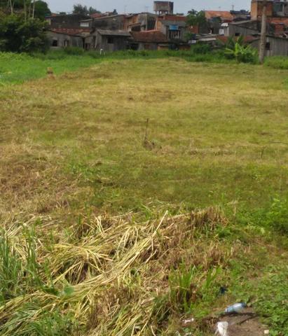 Super Terreno com Residencial - Foto 6