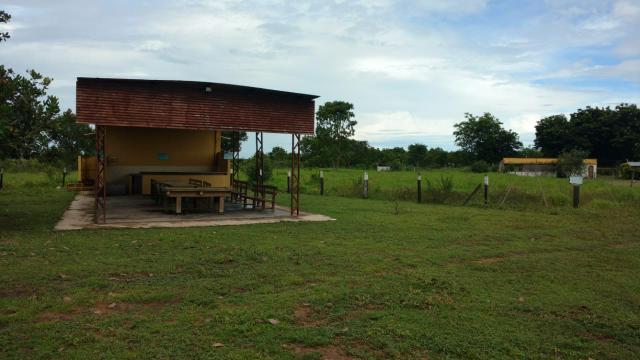 Chácara 12 hectares á 14 km de Cuiabá á venda - Foto 8