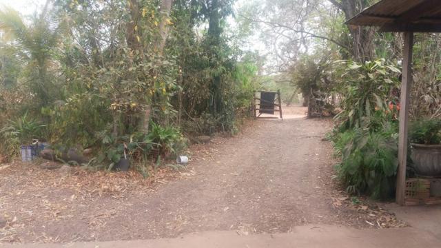 Chacara - Foto 13