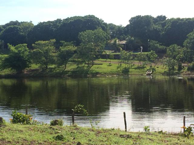 Fazenda 70 hectares á venda á 16km de Cuiabá