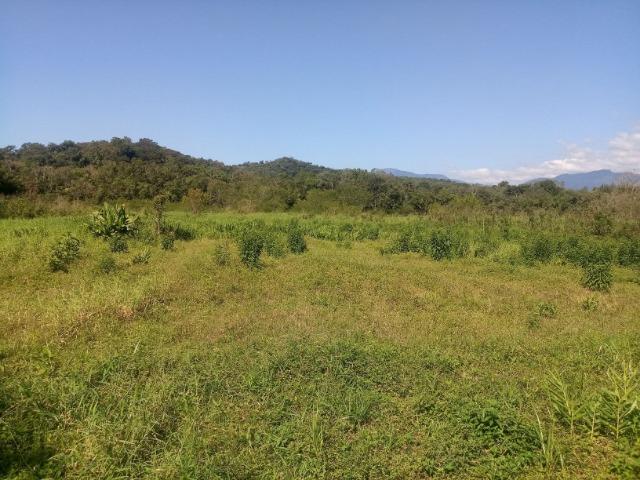 Chácara - Raia Velha - Morretes - Foto 13