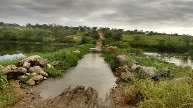 Ótima fazenda pitombeira em vertentes, com 161 hectares - Foto 4