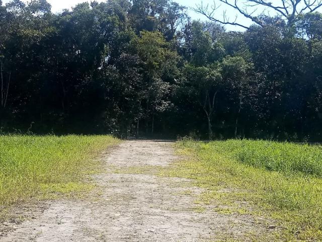 Chácara - Raia Velha - Morretes - Foto 12