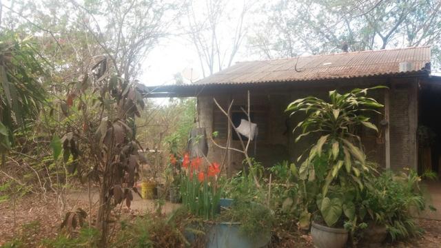 Chacara - Foto 10