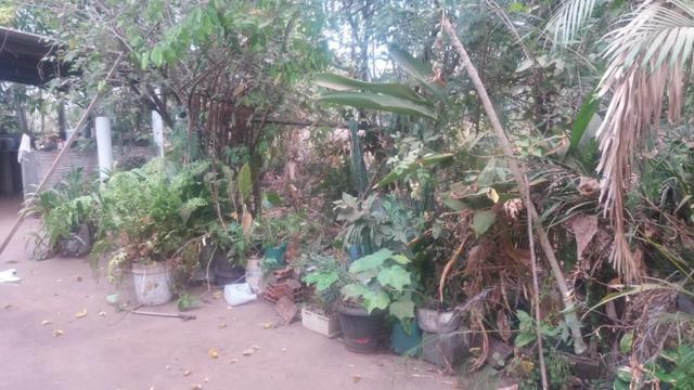Chacara - Foto 9