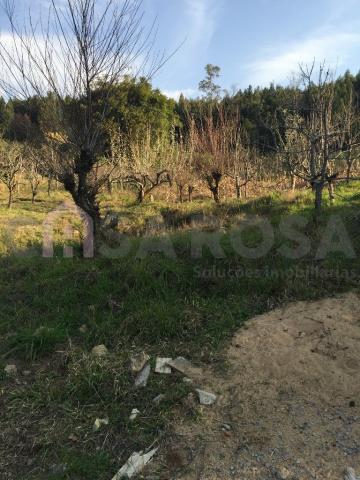 Casa à venda com 2 dormitórios em Fazenda souza, Caxias do sul cod:511 - Foto 2