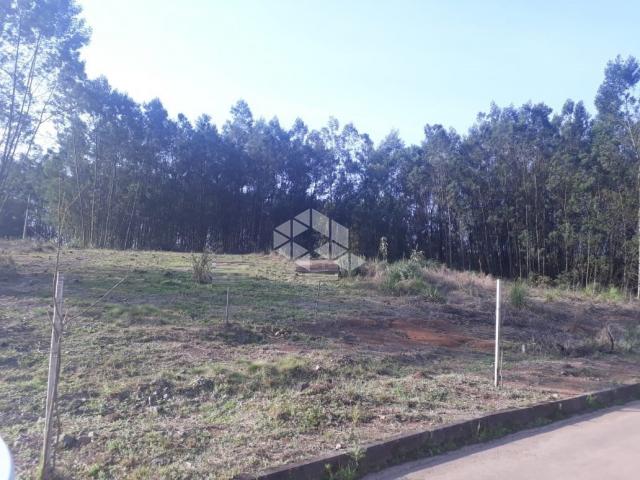 Terreno à venda em Alfândega, Garibaldi cod:9909316 - Foto 6
