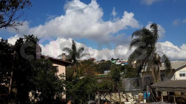 Terreno à venda em Pioneiro, Caxias do sul cod:644 - Foto 8
