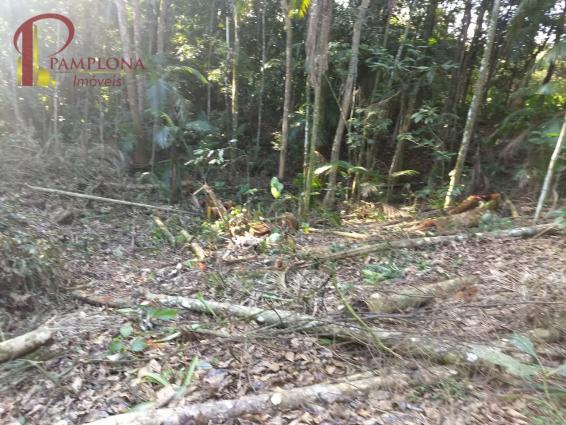 Sítio à venda em Vila itoupava, Blumenau cod:1854 - Foto 5