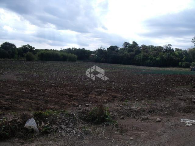 Chácara à venda em Interior, Garibaldi cod:9905726 - Foto 3