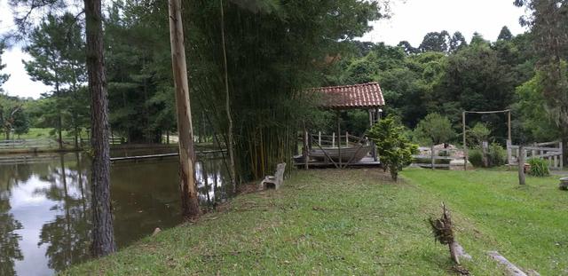 Linda chácara com muita agua - Foto 4
