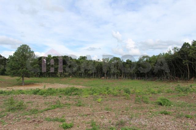 Terreno à venda em Fazenda souza, Caxias do sul cod:302 - Foto 7