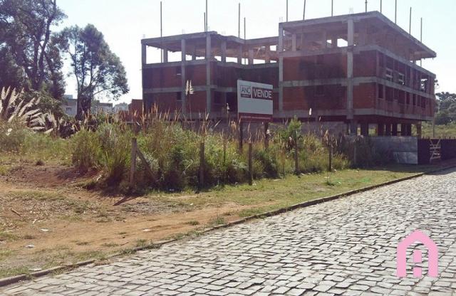 Terreno à venda em Nossa senhora de fátima, Caxias do sul cod:2439 - Foto 3