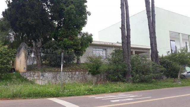 Terreno à venda no tingui