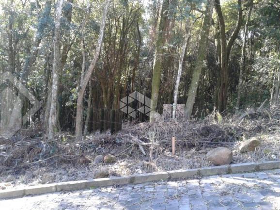 Terreno à venda em Zona industrial, Garibaldi cod:9908742 - Foto 2