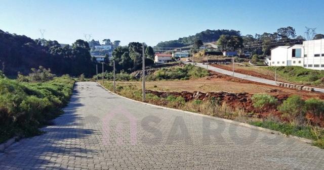 Terreno à venda em São ciro, Caxias do sul cod:2181 - Foto 8