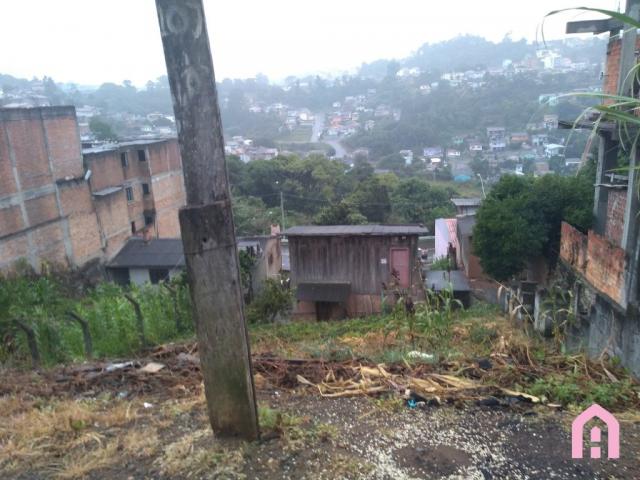 Terreno à venda em Esplanada, Caxias do sul cod:2681 - Foto 3