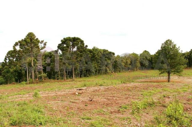 Terreno à venda em Fazenda souza, Caxias do sul cod:302