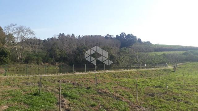 Terreno à venda em Borguetto, Garibaldi cod:9909319 - Foto 8