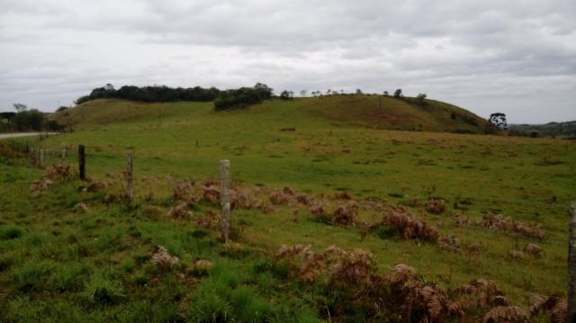 Terreno à venda em Interior, Caxias do sul cod:1849 - Foto 3