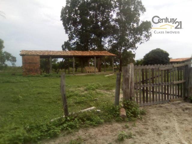 754 há em Barras Piauí - Foto 7