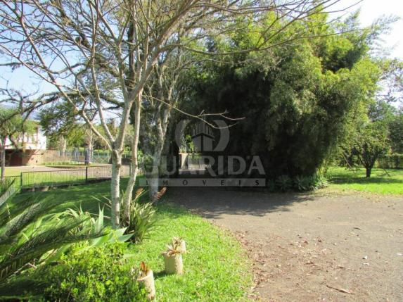 Sítio à venda em Cristo rei, Estrela cod:154552 - Foto 7