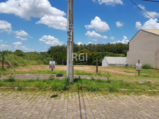 Terreno à venda em Protásio alves, Porto alegre cod:LI261455 - Foto 3