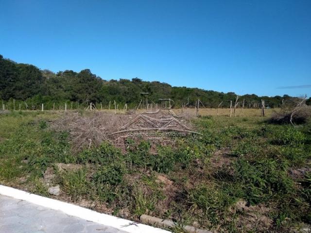 Terreno à venda em São joão do rio vermelho, Florianópolis cod:1735 - Foto 4