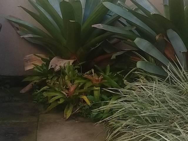 Casa de condomínio à venda com 3 dormitórios em Tristeza, Porto alegre cod:9907746 - Foto 6