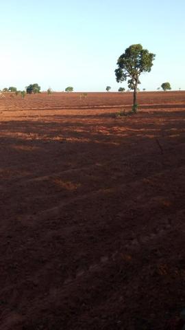 Fazenda 363 hectares - Foto 8