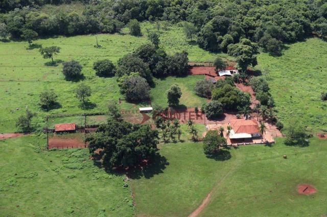Fazenda Pouso Alto no município de Cachoeira Alta - Go. - Foto 3
