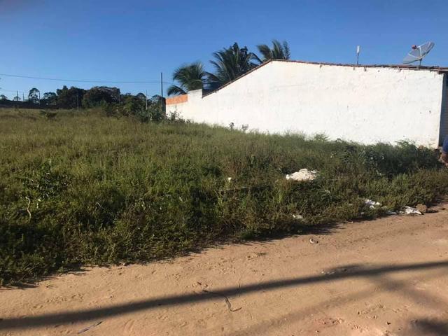 Terreno Em Mamanguape 300 metros²