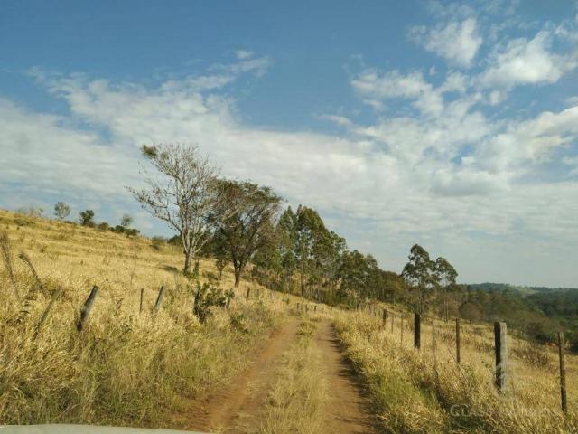 Fazenda Pecuária Santa Cecilia do Pavão PR - Foto 7