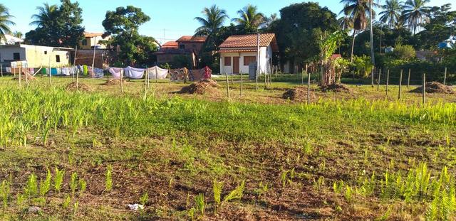 Terreno 36 Vezes Garapua Morro de São Paulo - Foto 10
