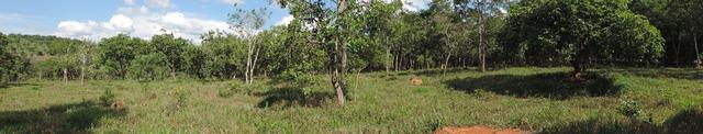 Vende-se terreno de 14 hectares - Foto 7