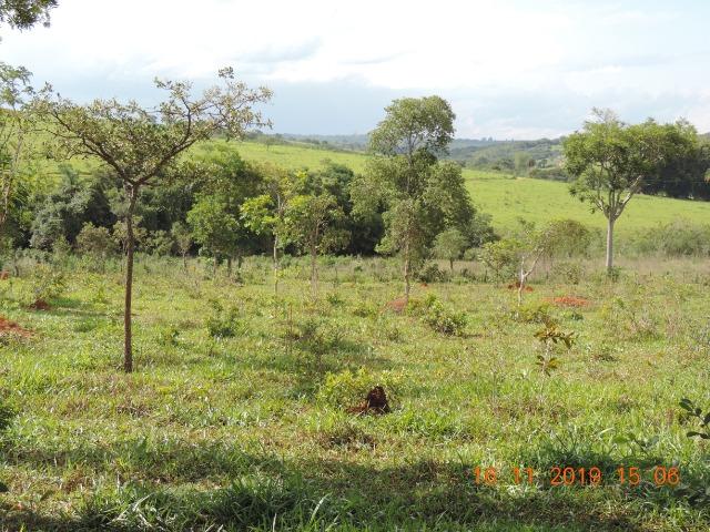 Vende-se terreno de 14 hectares - Foto 14
