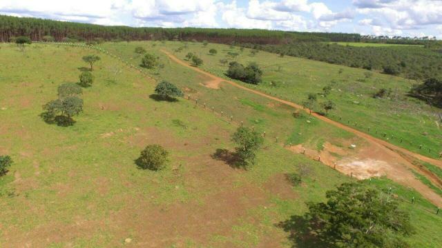 Urgente 20 hectares planalmira 35 km Anápolis. - Foto 7