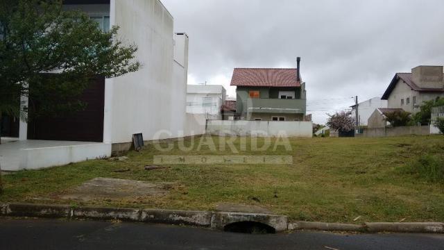 Terreno à venda em Protásio alves, Porto alegre cod:168475